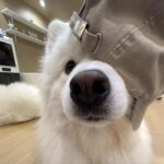 听风诉说镣铐-月梦社区-YUEM-视频-束缚-Fettered-链结-脚镣-手铐-镣铐玩具月梦社区