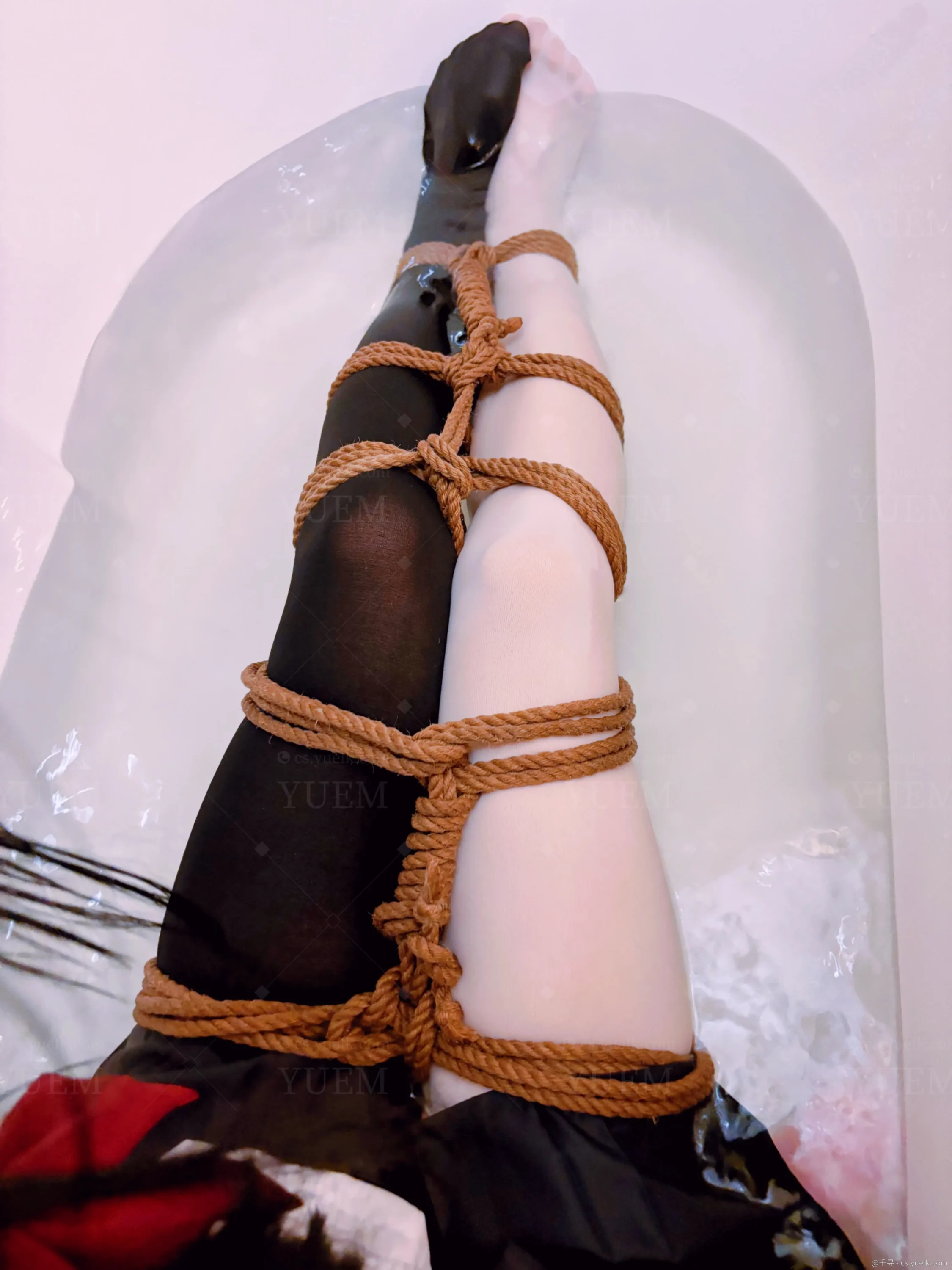 20250922011246463-1000011526